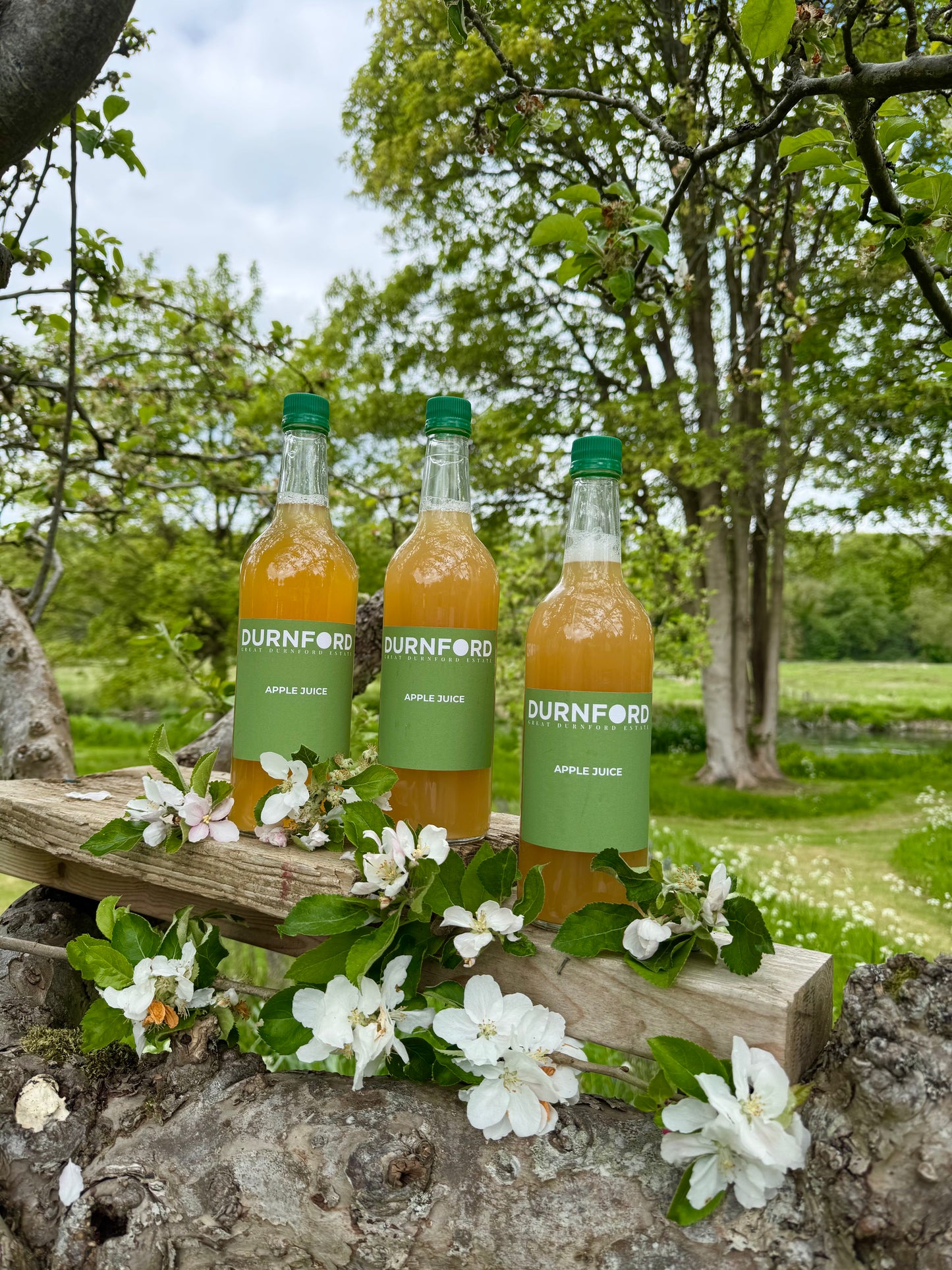 Apple Juice