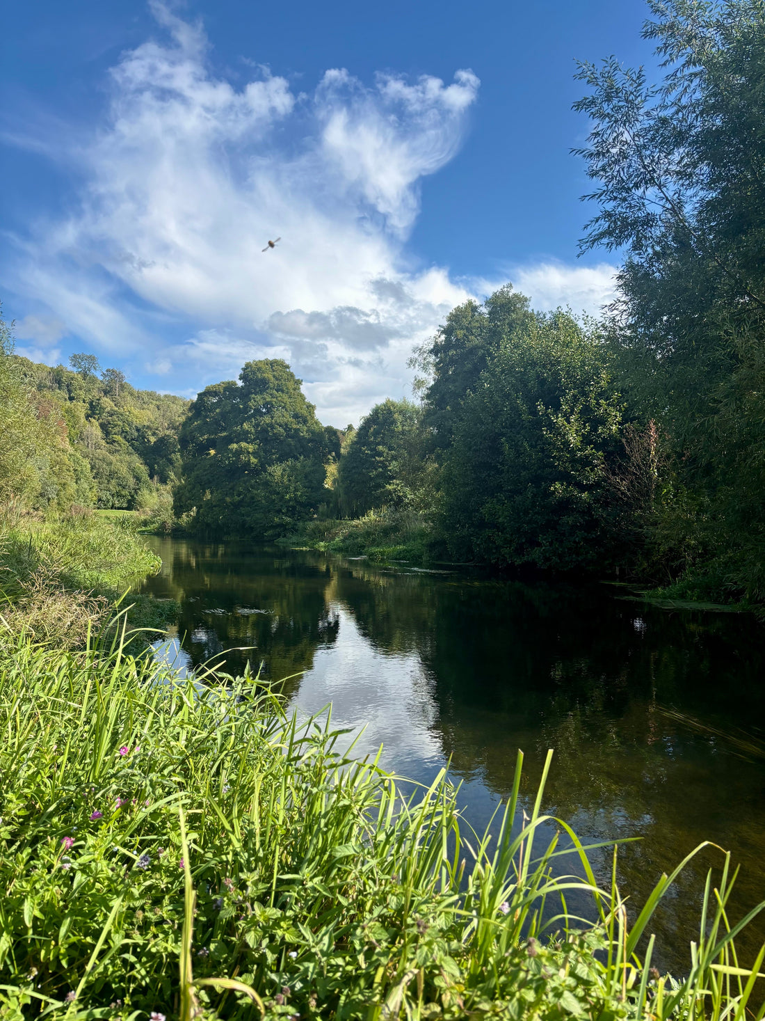 Sustainability at DURNFORD